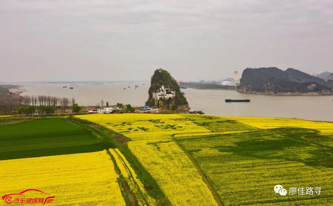 不在婺源不在汉中这才是本月最佳菜花线丨廖佳风景线