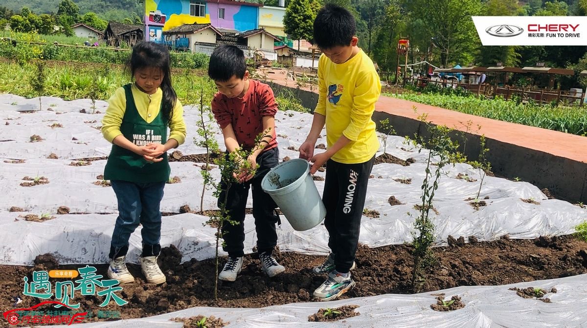 乐享奇程 | 花艺美学季，在田野花间，享受美好旅途